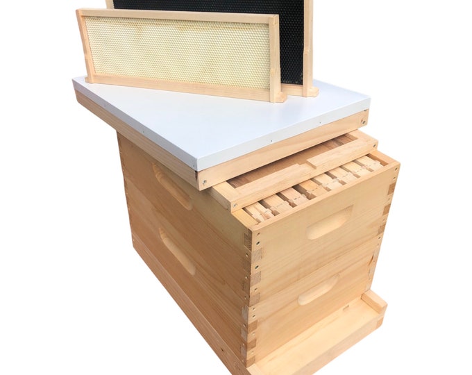 1 Deep 1 Medium Bee Hive w/Frames & Foundations ASSEMBLED Langstroth
