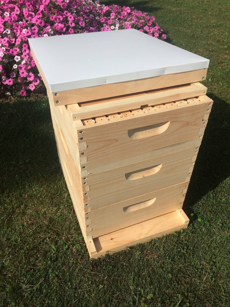 hive buy