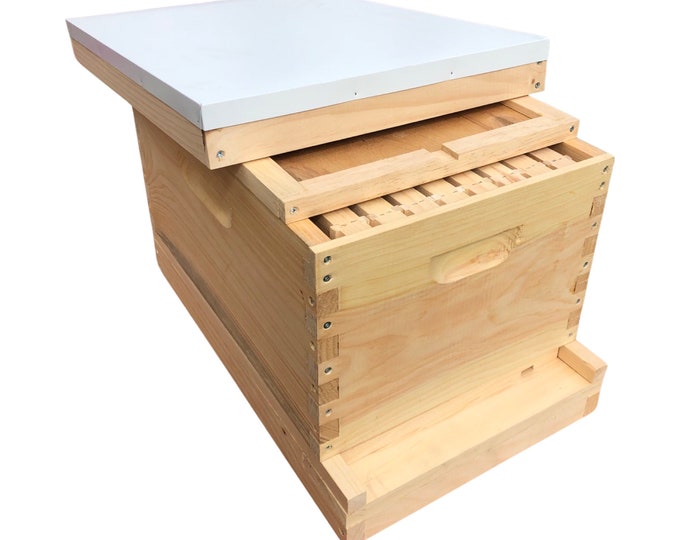 1 Deep 9 5/8 w/Frames Beekeeping Bee Hive Assembled Langstroth