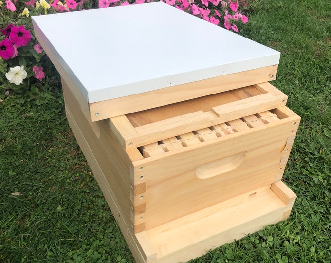 1 Medium (6 5/8) w/Frames Beekeeping Bee Hive Assembled Langstroth