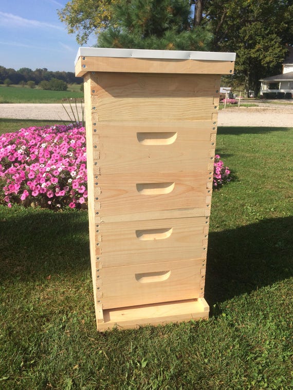 5 Medium Complete Beekeeping Bee Hive kit w/Frames & Etsy
