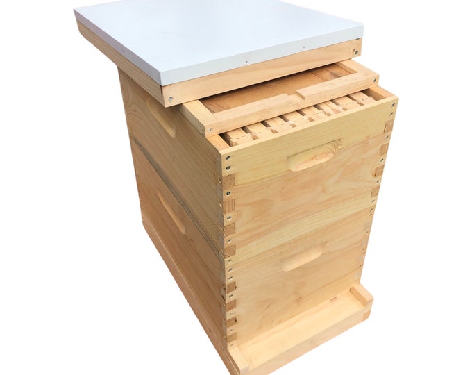 2 Deep w/Frames Beekeeping Bee Hive Assembled Langstroth