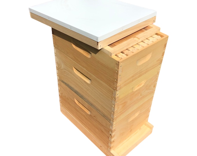 2 Deep & 1 Medium w/Frames Beekeeping Bee Hive kit Un-Assembled Langstroth