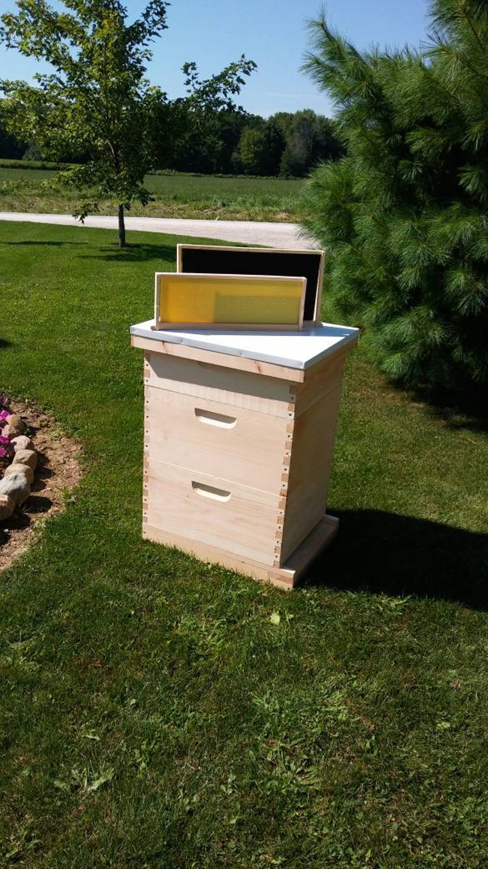 2 Deep 1 Medium Complete Bee Hive kit w/Frames & Foundations Etsy