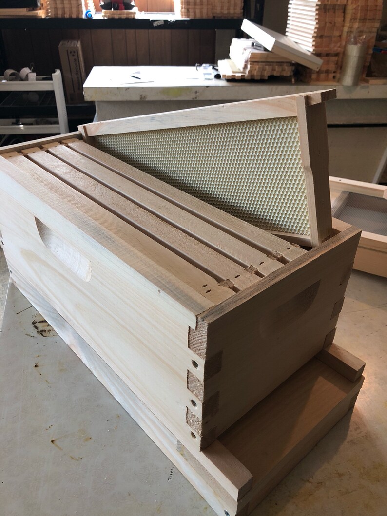 5Frame Medium 6 58 Complete Nuc Bee Hive wFrames /& Foundations Un-Assembled