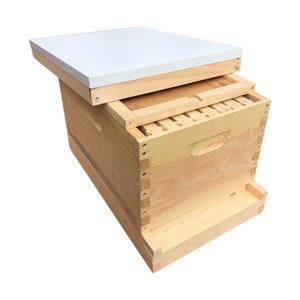 May include: A wooden beehive with a white lid. The hive is made of natural wood and has a simple design. It is a great option for beekeepers who are looking for a durable and affordable hive.