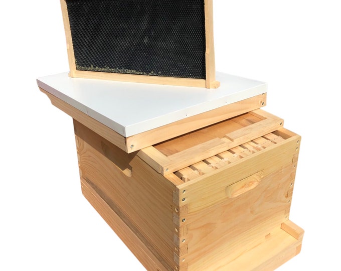 Deep 9 5/8 Complete Bee Hive kit w/Frames & Foundations (Un-Assembled) Langstroth