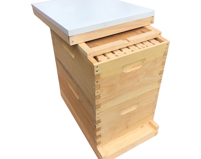 2 Deep (9 5/8) w/Frames Beekeeping Bee Hive kit Un-Assembled Langstroth