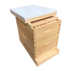 May include: A wooden beehive with a white lid. The hive is made of natural wood and has a simple design. It is a great option for beekeepers who are looking for a durable and affordable hive.