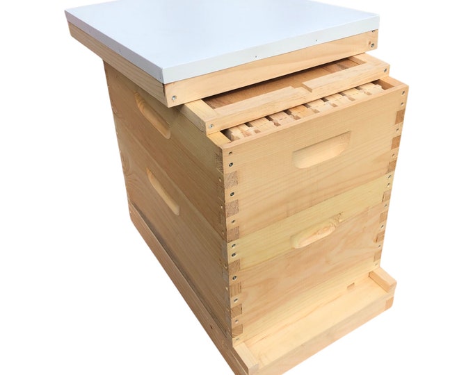 1 Deep & 1 Medium w/Frames Beekeeping Bee Hive Assembled Langstroth