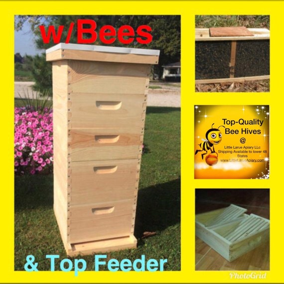 2 Deep 2 Medium Complete Beekeeping Bee Hive Kit W Frames And Etsy