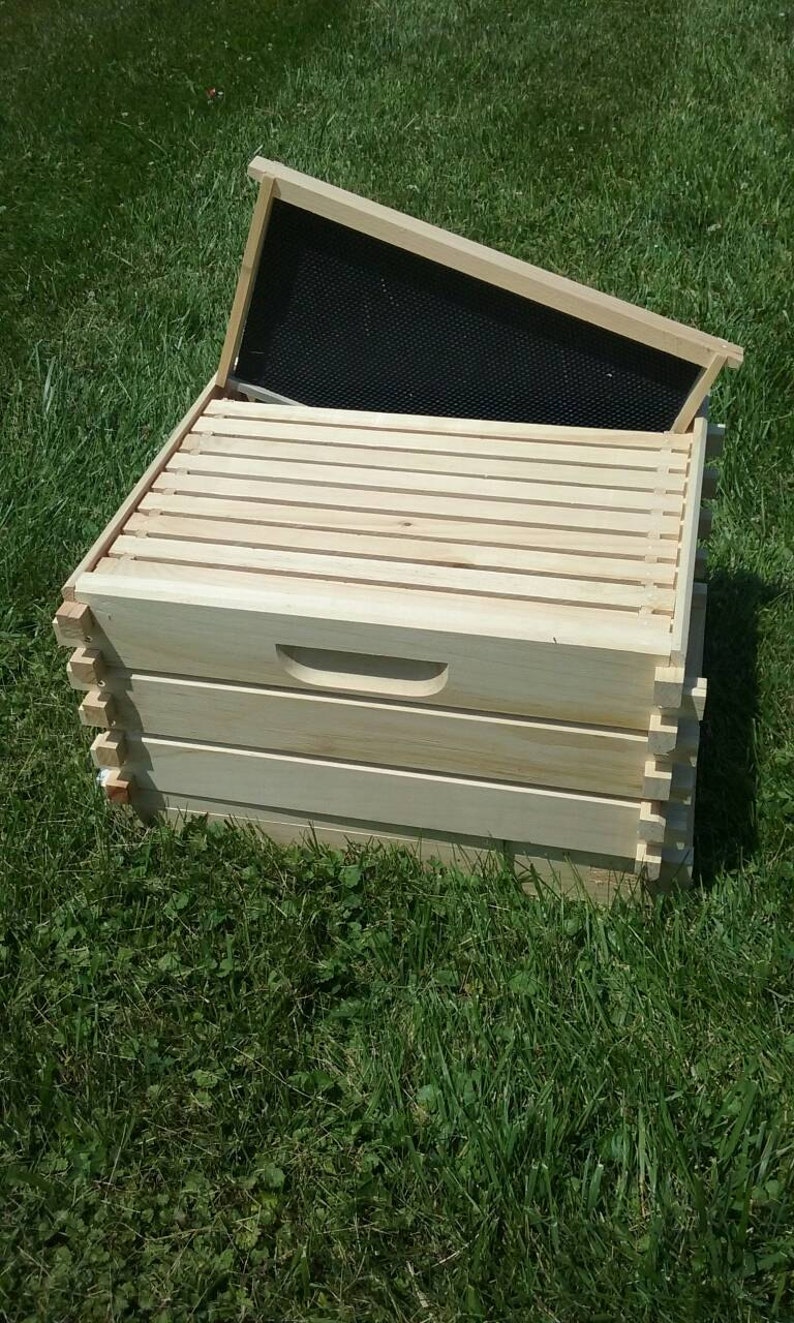 Deep 9 5 8 Log Cabin Style Complete 10 Frame Brood Box Bee Image 0