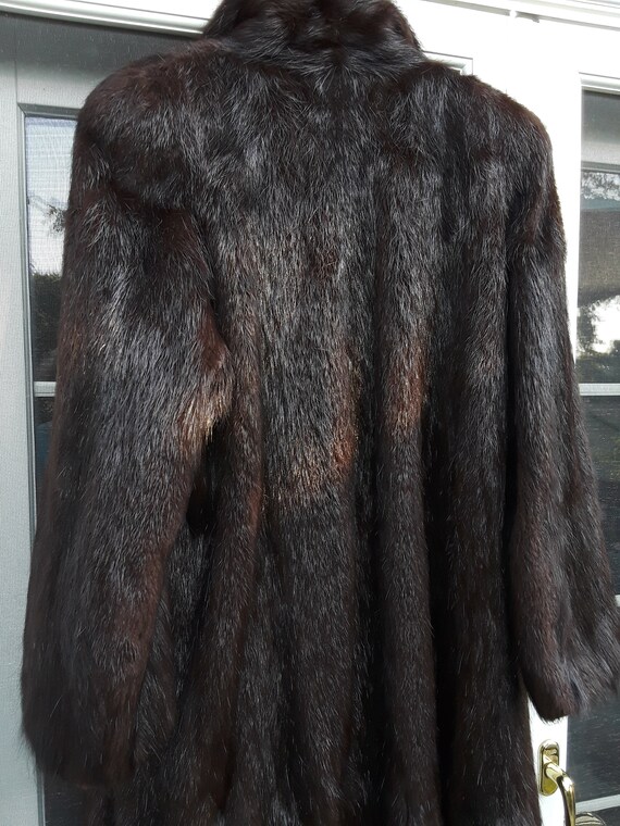 Nutria Fur Coat Size ML Full Length Full PELTS Fabulous