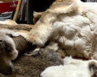 Natural Colors - White and Brown RABBIT SKINS / PELTS