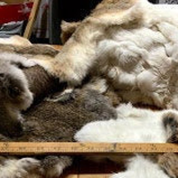 Natural Colors - White and Brown RABBIT SKINS / PELTS