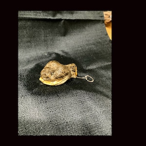 Rattlesnake Heads - FREEZE DRIED Western Diamondbacks!