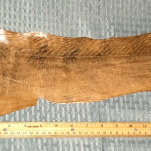 Tanned Eel Skin for Crafts - Proud Product of the U.S.A.