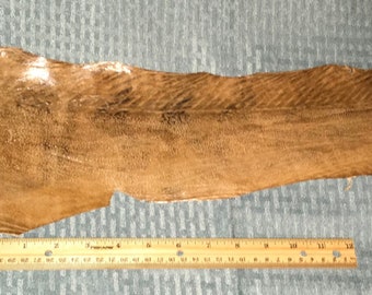 May include: A long, thin piece of brown leather with a textured surface. The leather is approximately 18 inches long and 4 inches wide.