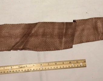 May include: A brown, textured leather belt with a triangular end. A wooden ruler with inch measurements is placed next to the belt. The belt is folded in several places.