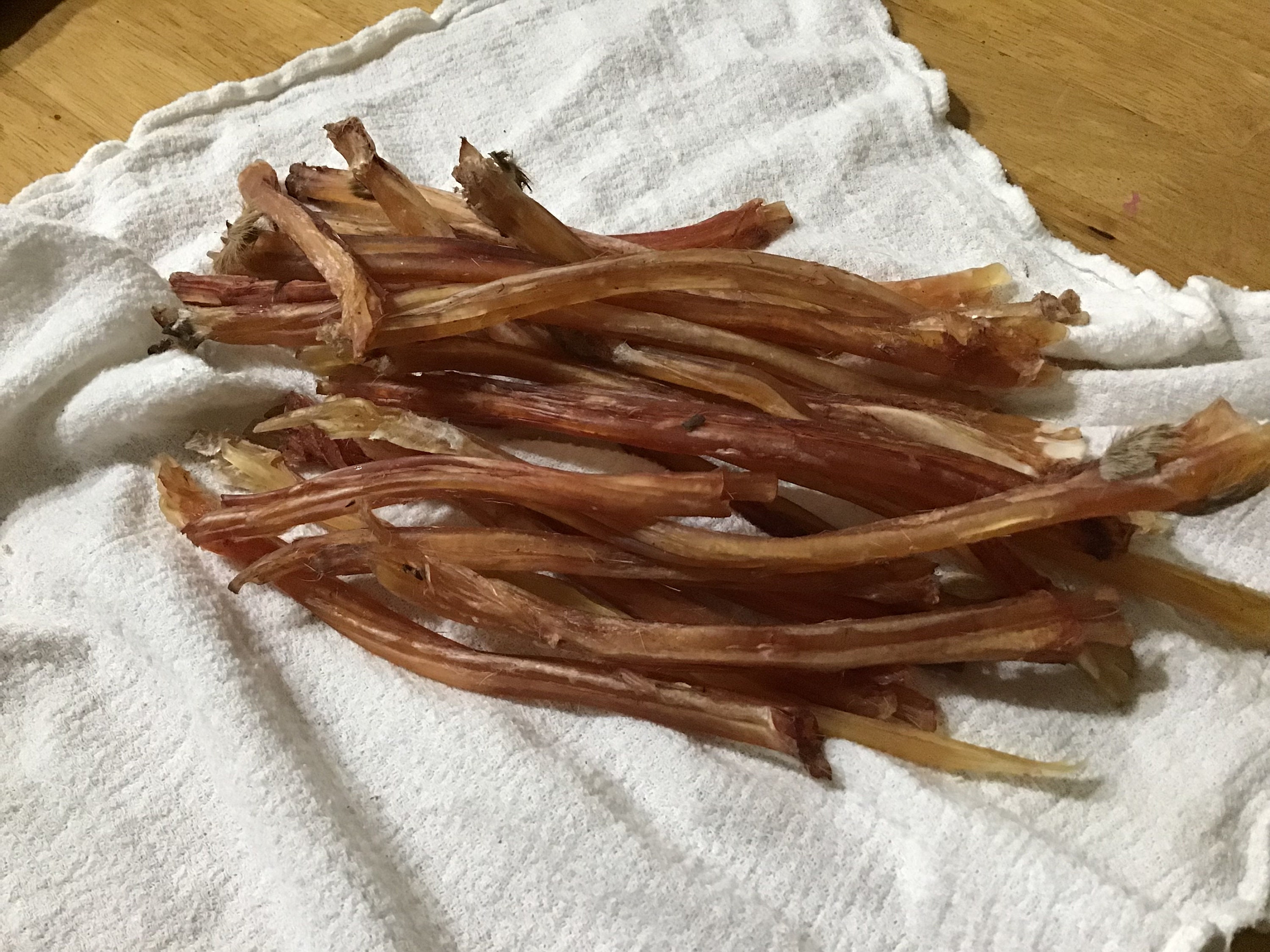 Deer Sinew Hand Harvested & Cured Proudly Harvested by Hand in TEXAS 