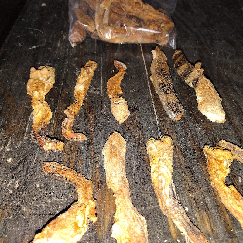 Rattlesnake Dried - Etsy