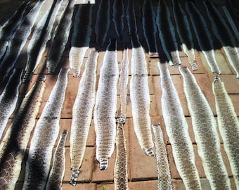 Rattlesnake Skin - W/O Rattler - TEXAS Western Diamondback - Some WIDE Ones