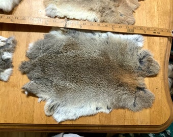 Natural Colors - White and Brown RABBIT SKINS / PELTS