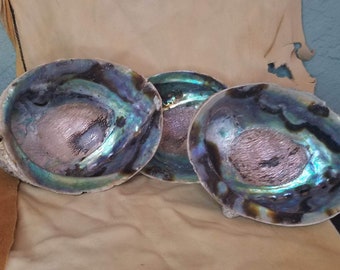 Abalone Shell