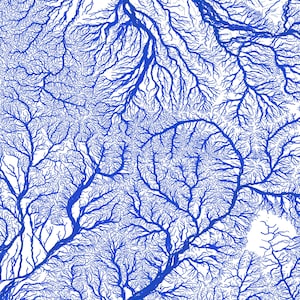 May include: Abstract blue and white pattern resembling a network of branches or veins. The pattern is intricate and detailed, creating a complex and visually interesting design.