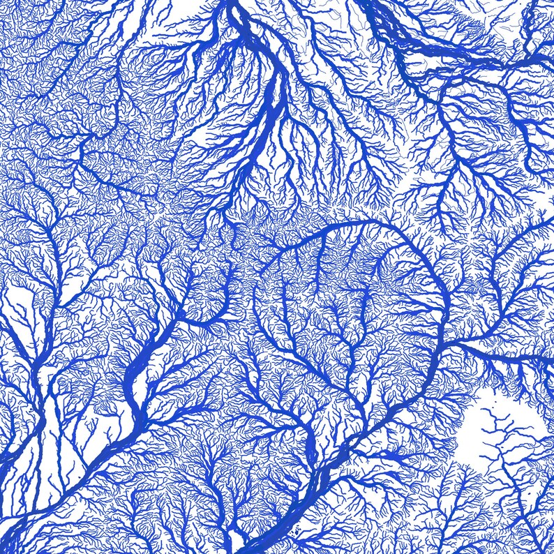 May include: Abstract blue and white pattern resembling a network of branches or veins. The pattern is intricate and detailed, creating a complex and visually interesting design.