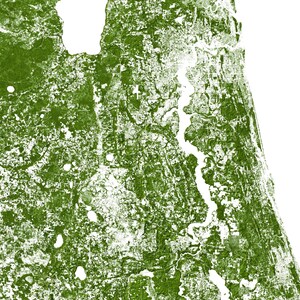 Forests of Florida poster print Physical Florida map print, Florida print, USA map, Florida art, Florida map art, Florida wall art print image 8