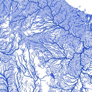 May include: A blue and white abstract art print featuring a detailed illustration of a river system. The print shows a network of rivers and streams branching out from a central point.