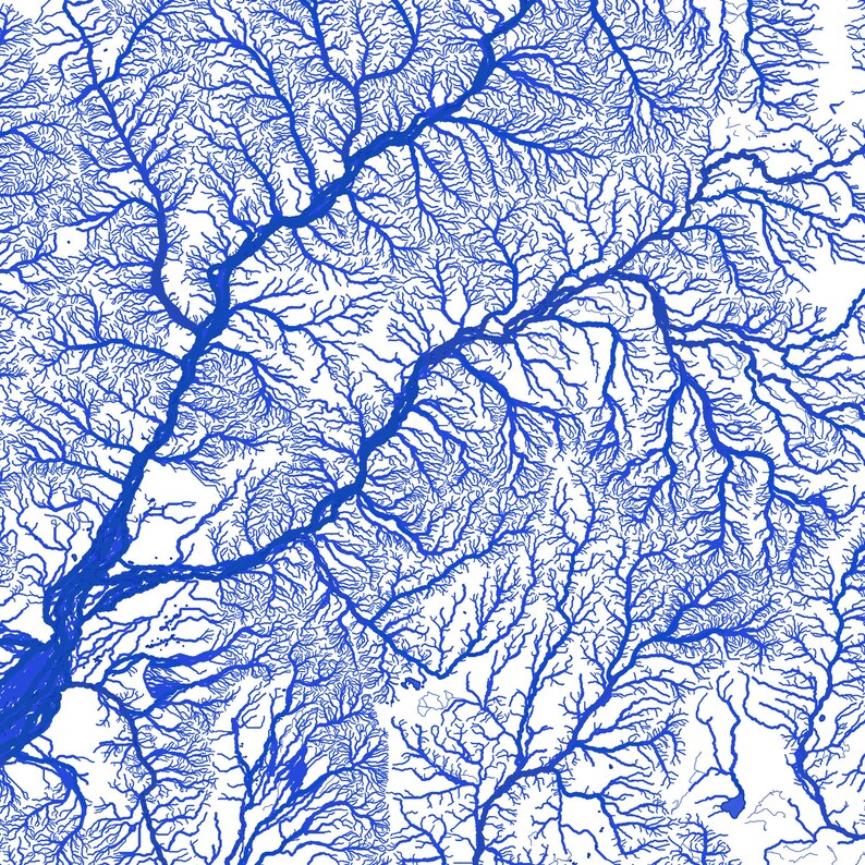 May include: An abstract blue and white image of a river system with many branches and tributaries. The image is reminiscent of a tree with its roots and branches.