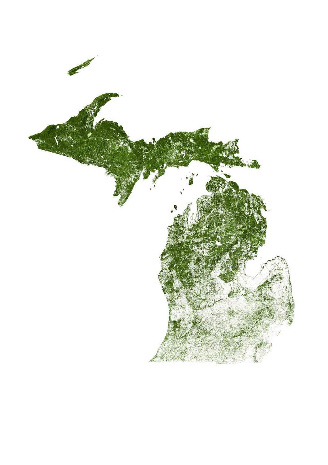 Forests of Michigan poster print Physical Michigan map | Etsy