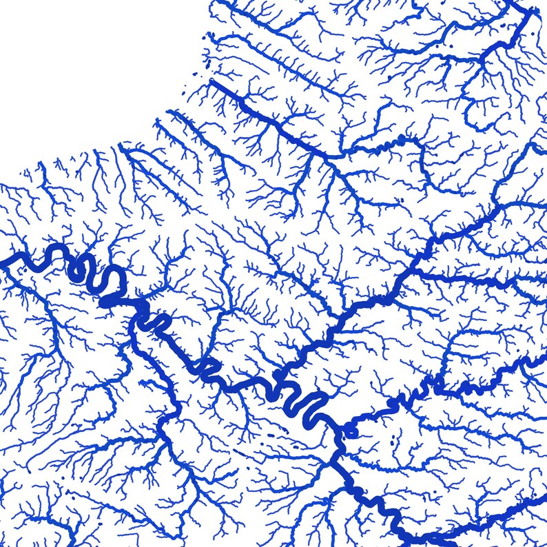 May include: A detailed map of a river system, rendered in blue against a white background. The intricate network of waterways, including major rivers and smaller tributaries, creates a complex, organic pattern. The map is a visual representation of a geographical area.