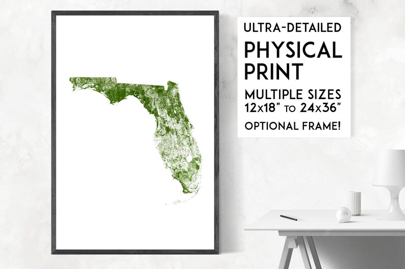 Forests of Florida poster print Physical Florida map print, Florida print, USA map, Florida art, Florida map art, Florida wall art print image 1