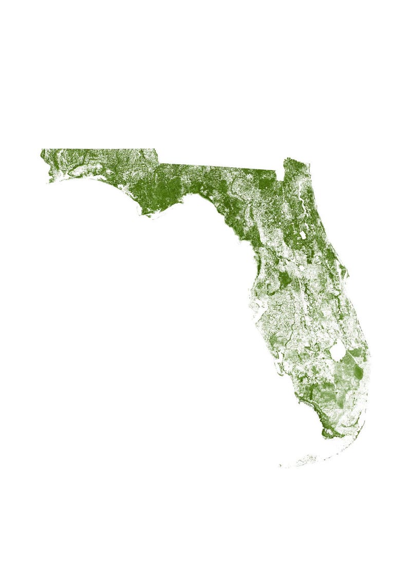 Forests of Florida poster print Physical Florida map print, Florida print, USA map, Florida art, Florida map art, Florida wall art print image 2