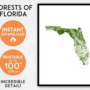 Florida kaart print, afdrukbare Florida kaart kunst, Florida print, USA kaart print, Florida kunst, Florida poster, Florida kunst aan de muur, Florida cadeau
