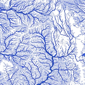 May include: Abstract blue and white pattern resembling a river system or a network of veins. The pattern is intricate and detailed, with many branches and tributaries.