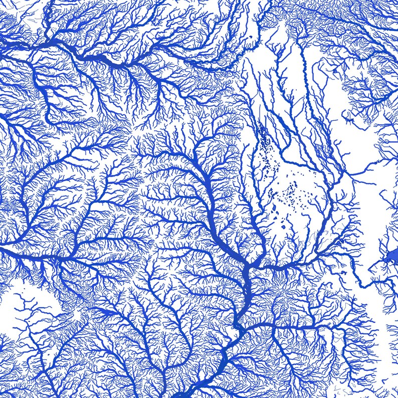 May include: Abstract blue and white pattern resembling a river system or a network of veins. The pattern is intricate and detailed, with many branches and tributaries.