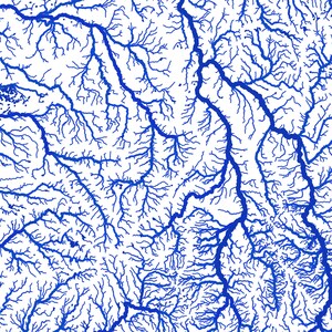 May include: A detailed map illustration featuring a network of blue river systems against a white background. The intricate lines depict a complex pattern of waterways, with varying widths and branching tributaries. The design evokes a sense of geography and cartography.