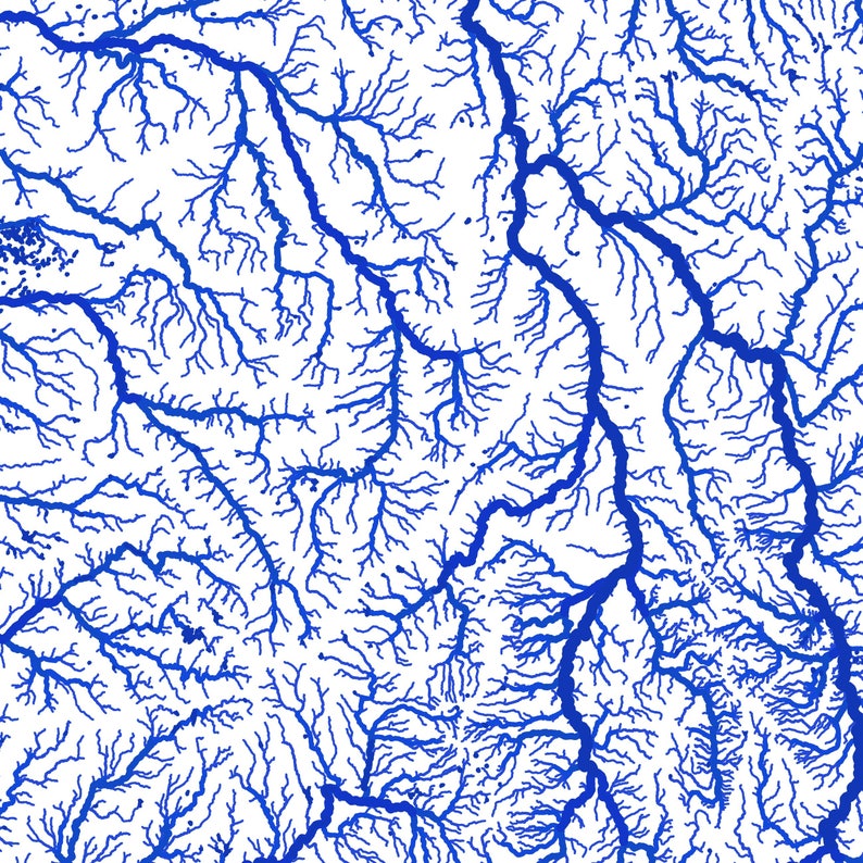 May include: A detailed map illustration featuring a network of blue river systems against a white background. The intricate lines depict a complex pattern of waterways, with varying widths and branching tributaries. The design evokes a sense of geography and cartography.