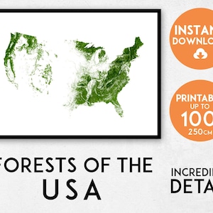 USA map print, Printable USA map art, United States art, USA poster, United States map, America map art, America wall art, Forest map