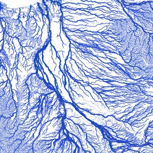 May include: A blue and white abstract art print featuring a detailed network of lines resembling a river system.