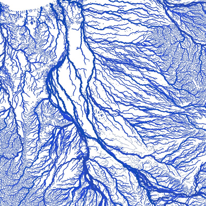 May include: A blue and white abstract art print featuring a detailed network of lines resembling a river system.