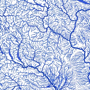 May include: A detailed blue and white map of a river system. The map shows the intricate network of waterways, including tributaries and branches, flowing through a landscape.