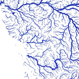 May include: A detailed map illustration featuring a network of blue river systems against a white background. The intricate lines depict a complex hydrological pattern, showcasing the branching and interconnectedness of the waterways. The design is clean and graphic.