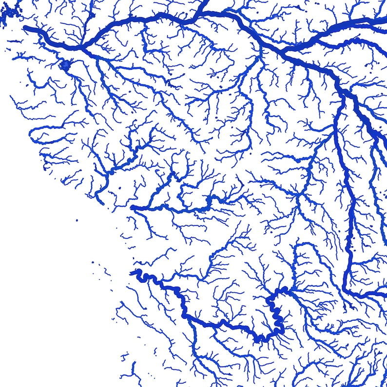 May include: A detailed map illustration featuring a network of blue river systems against a white background. The intricate lines depict a complex hydrological pattern, showcasing the branching and interconnectedness of the waterways. The design is clean and graphic.