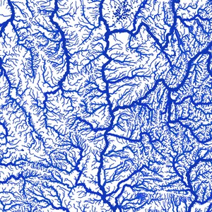 May include: A detailed blue and white illustration depicting a network of interconnected lines, resembling a map of rivers or veins. The intricate pattern covers the entire surface, creating a complex and visually engaging design. The blue lines contrast sharply against the white background.