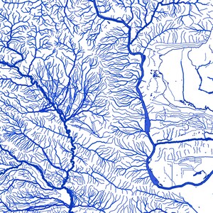 May include: A blue and white abstract print of a river system. The print shows the intricate network of waterways and tributaries.